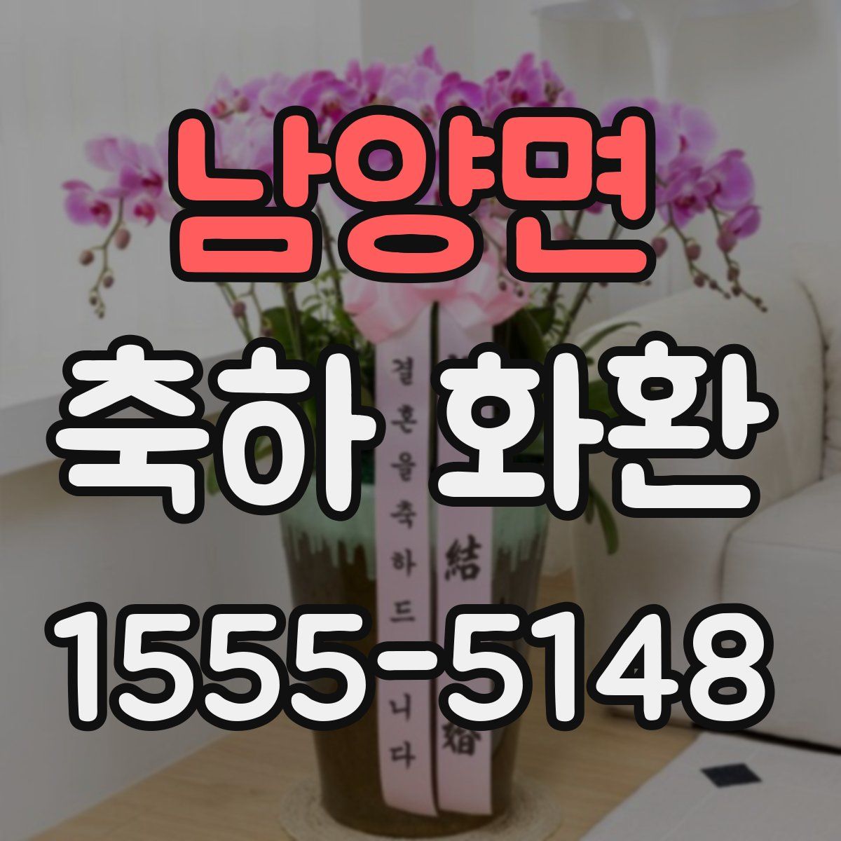 남양면 축하 화환