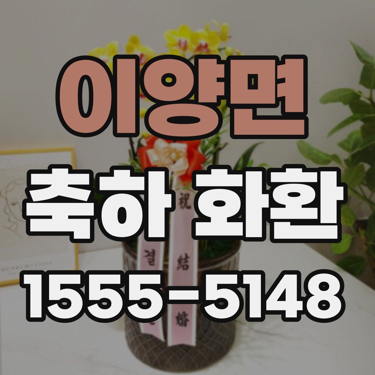 이양면 축하 화환
