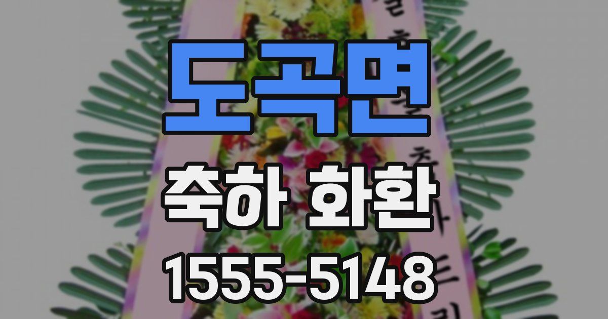도곡면 축하 화환