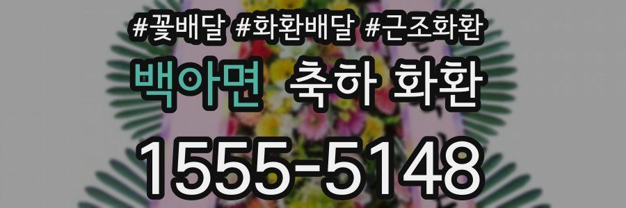 백아면 축하 화환