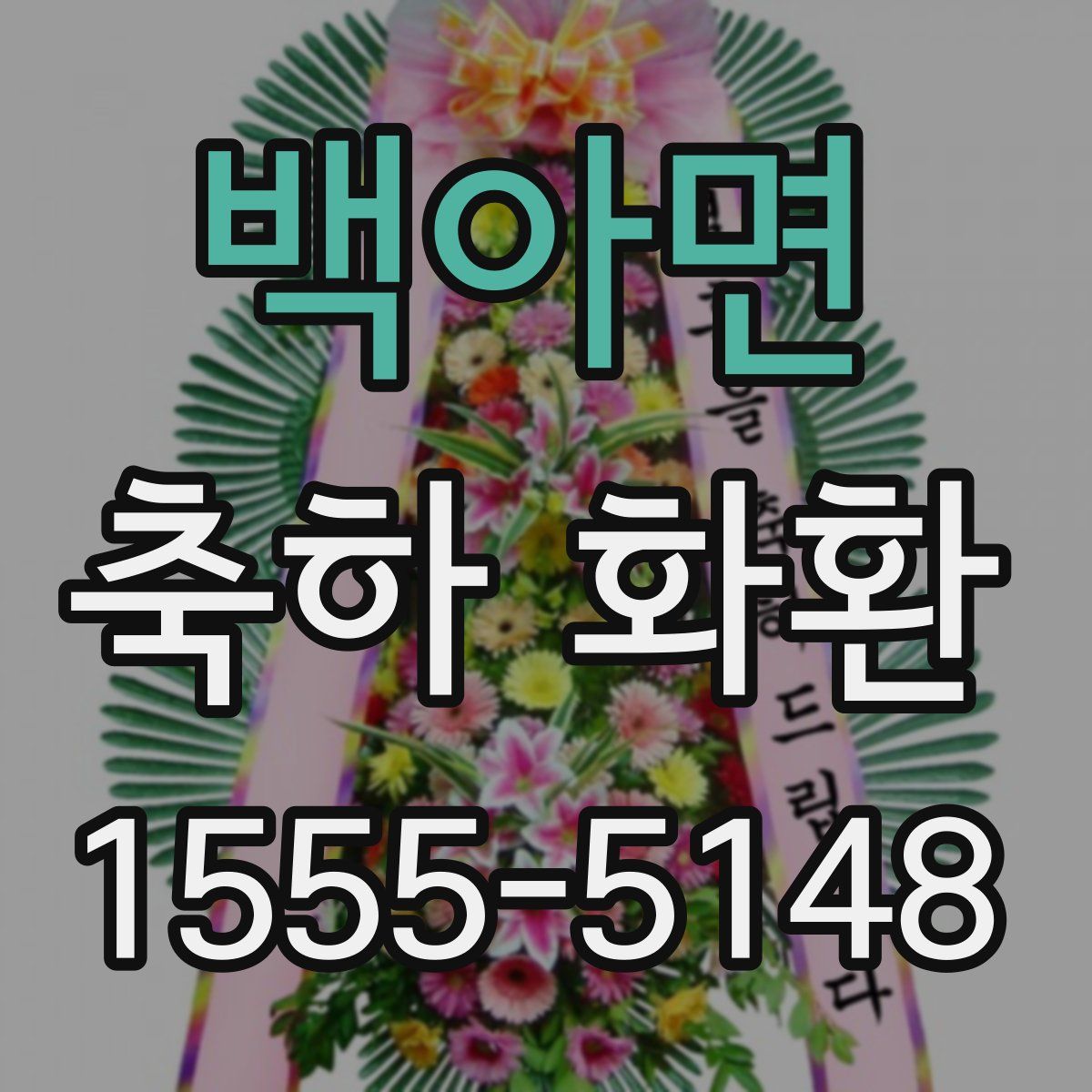 백아면 축하 화환