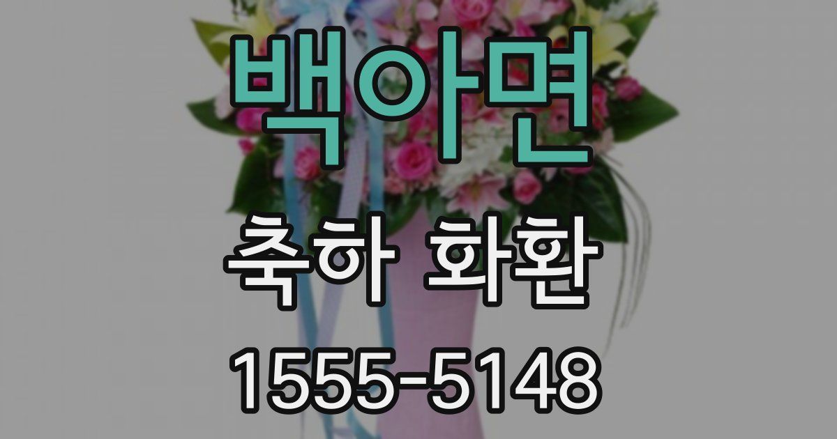 백아면 축하 화환