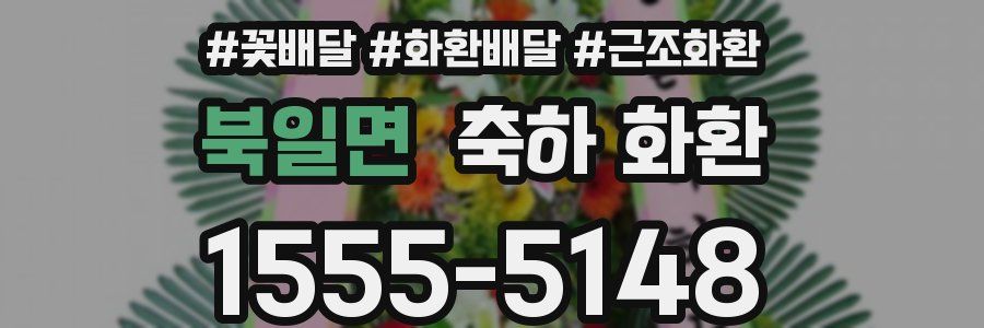 북일면 축하 화환