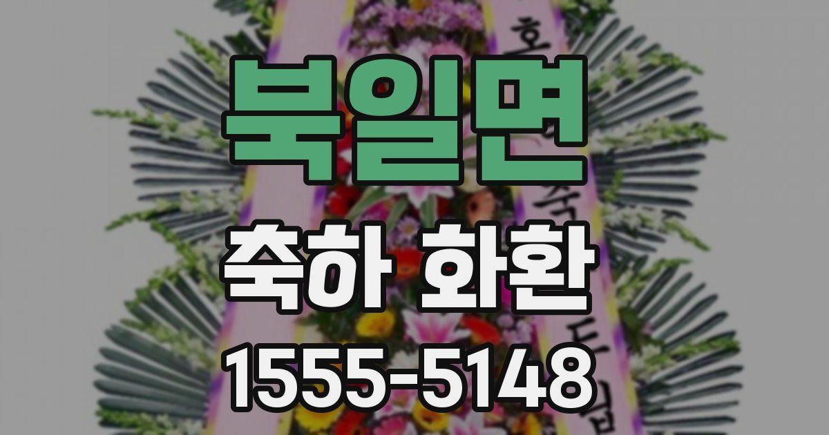 북일면 축하 화환