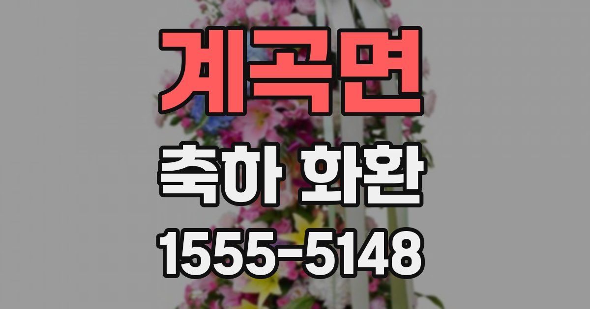 계곡면 축하 화환
