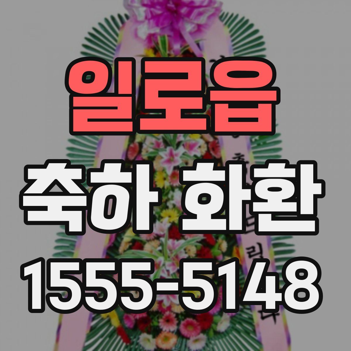 일로읍 축하 화환
