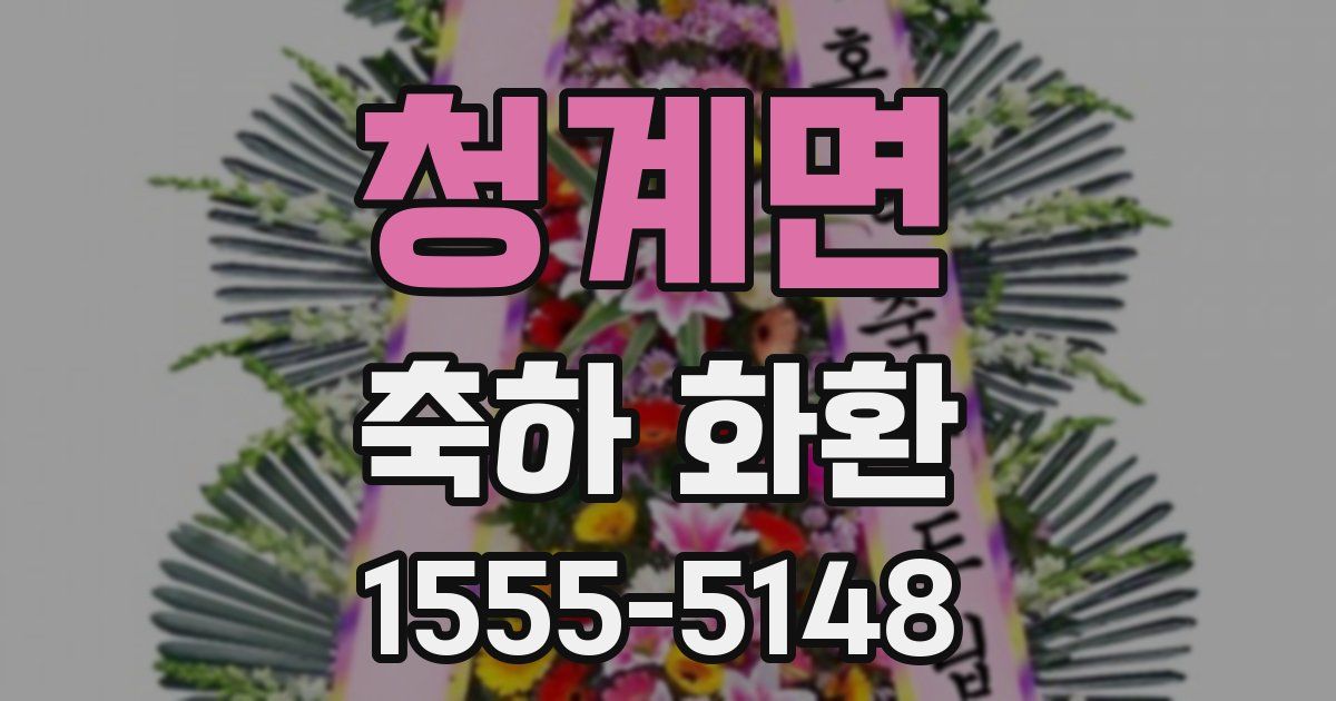 청계면 축하 화환