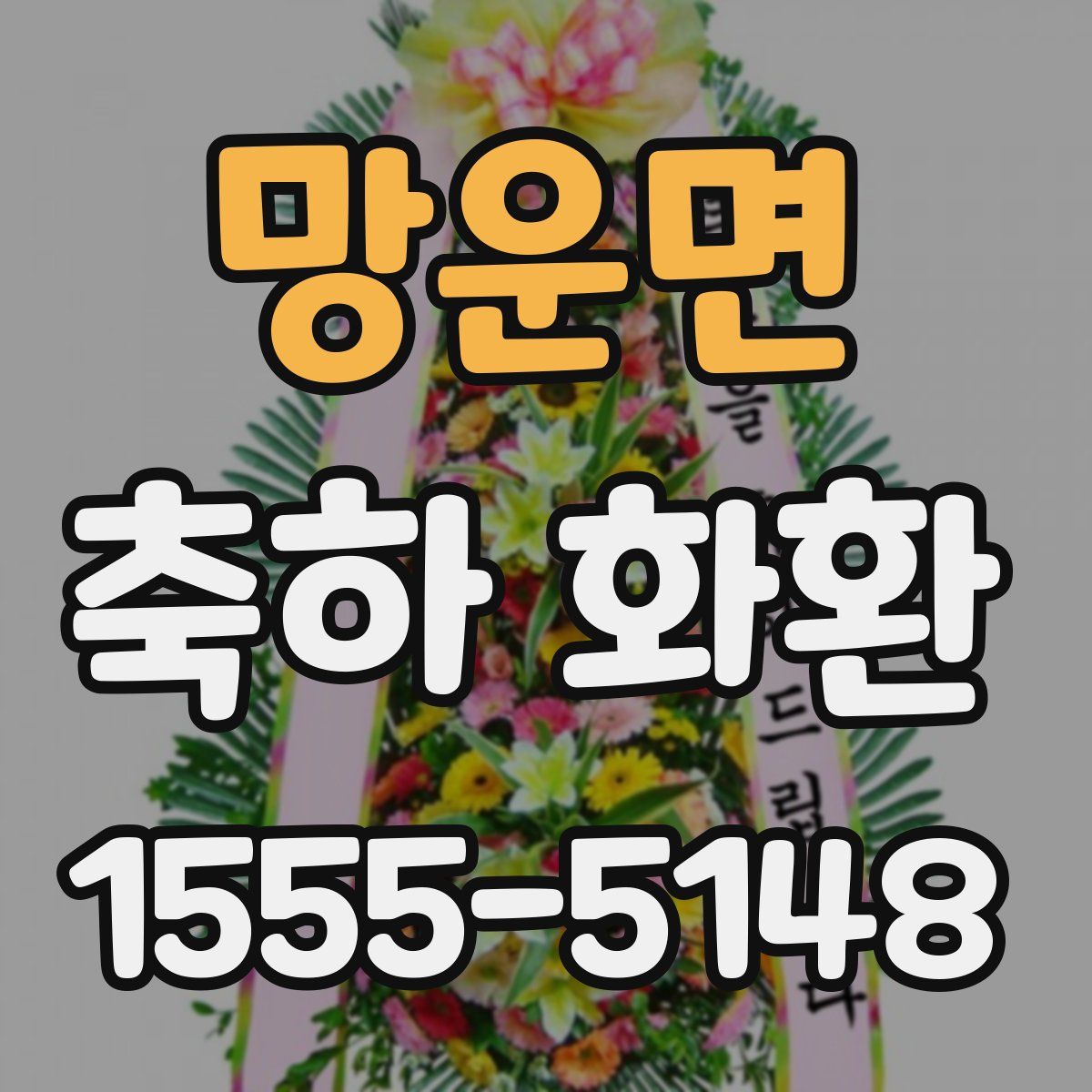 망운면 축하 화환