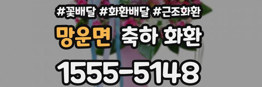 망운면 축하 화환