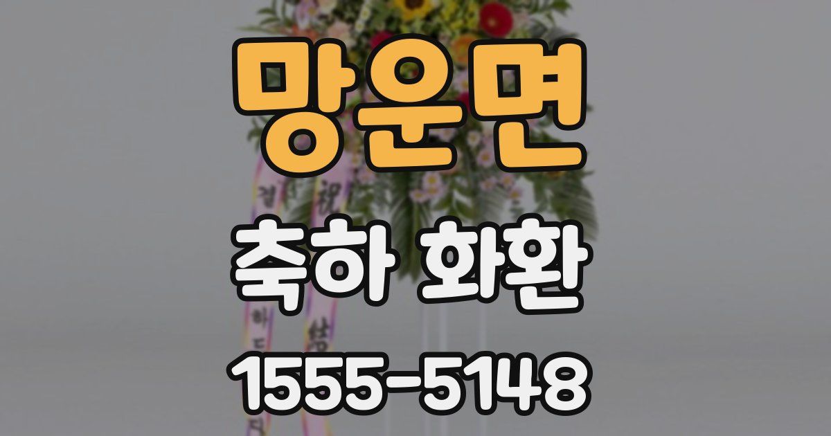 망운면 축하 화환
