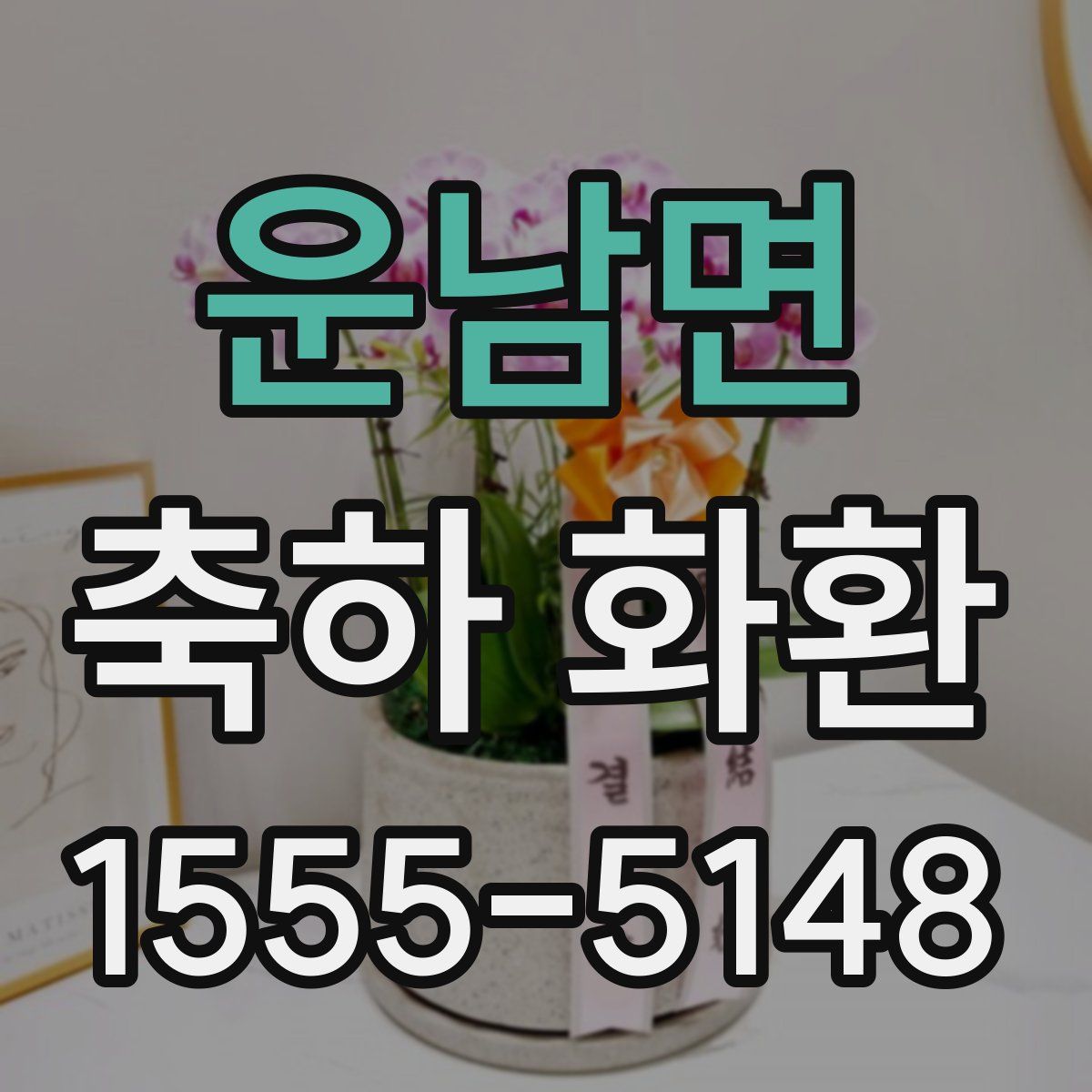 운남면 축하 화환