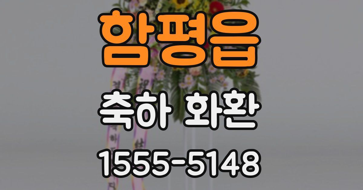 함평읍 축하 화환