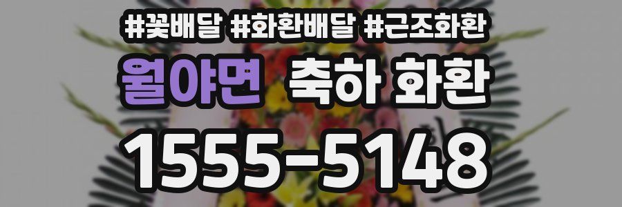 월야면 축하 화환