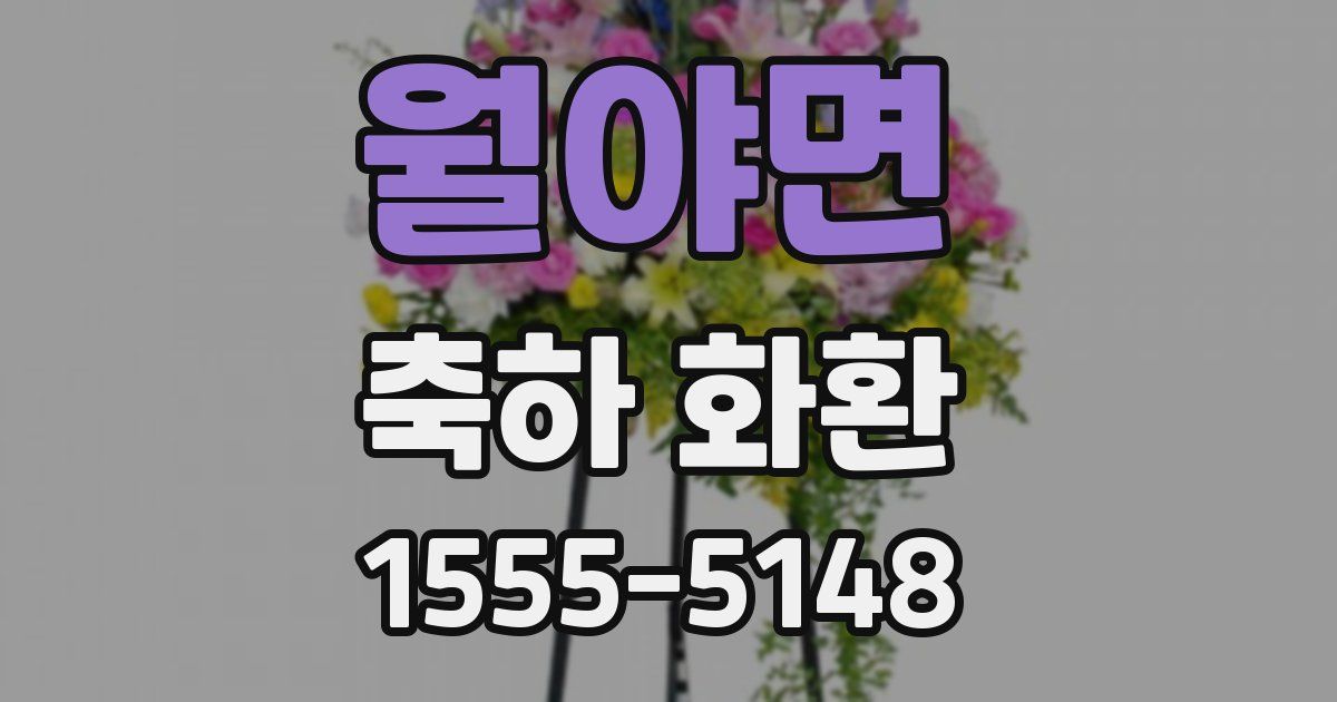 월야면 축하 화환