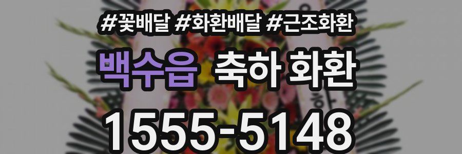 백수읍 축하 화환