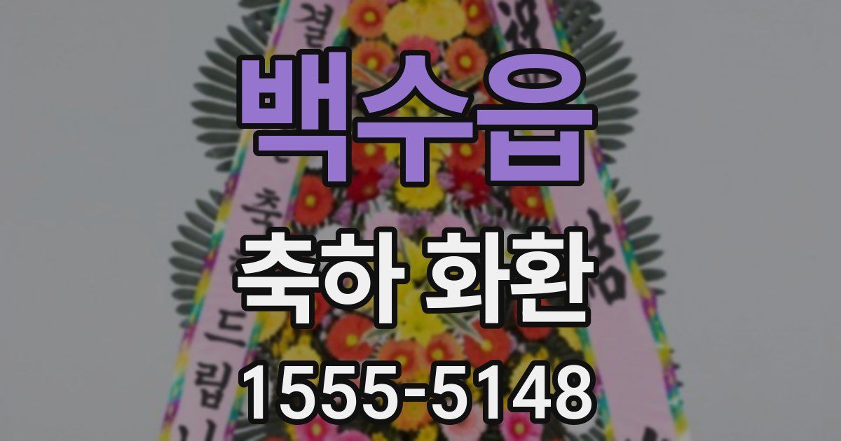 백수읍 축하 화환