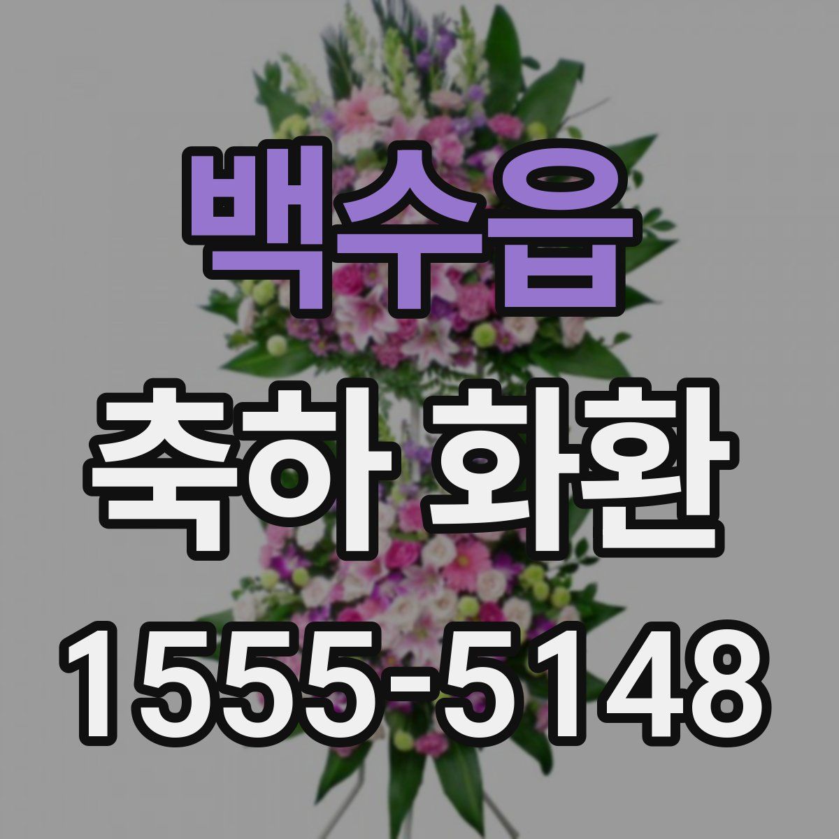 백수읍 축하 화환