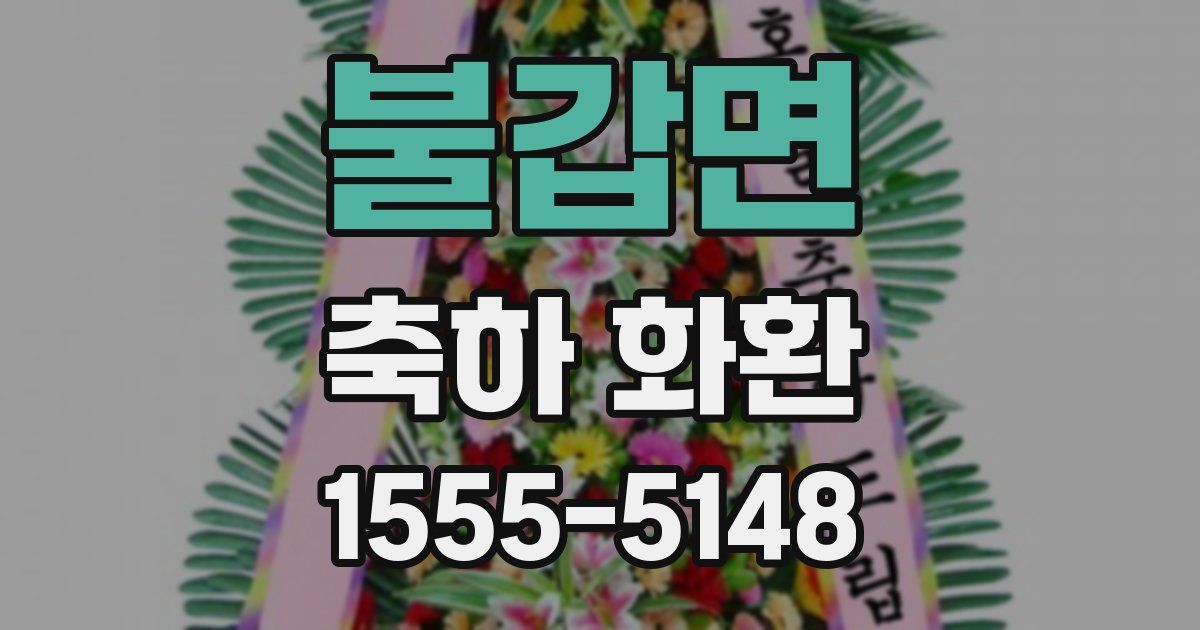 불갑면 축하 화환