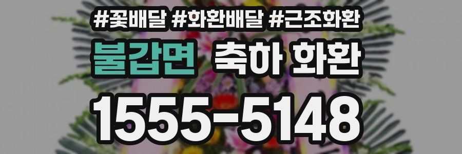 불갑면 축하 화환