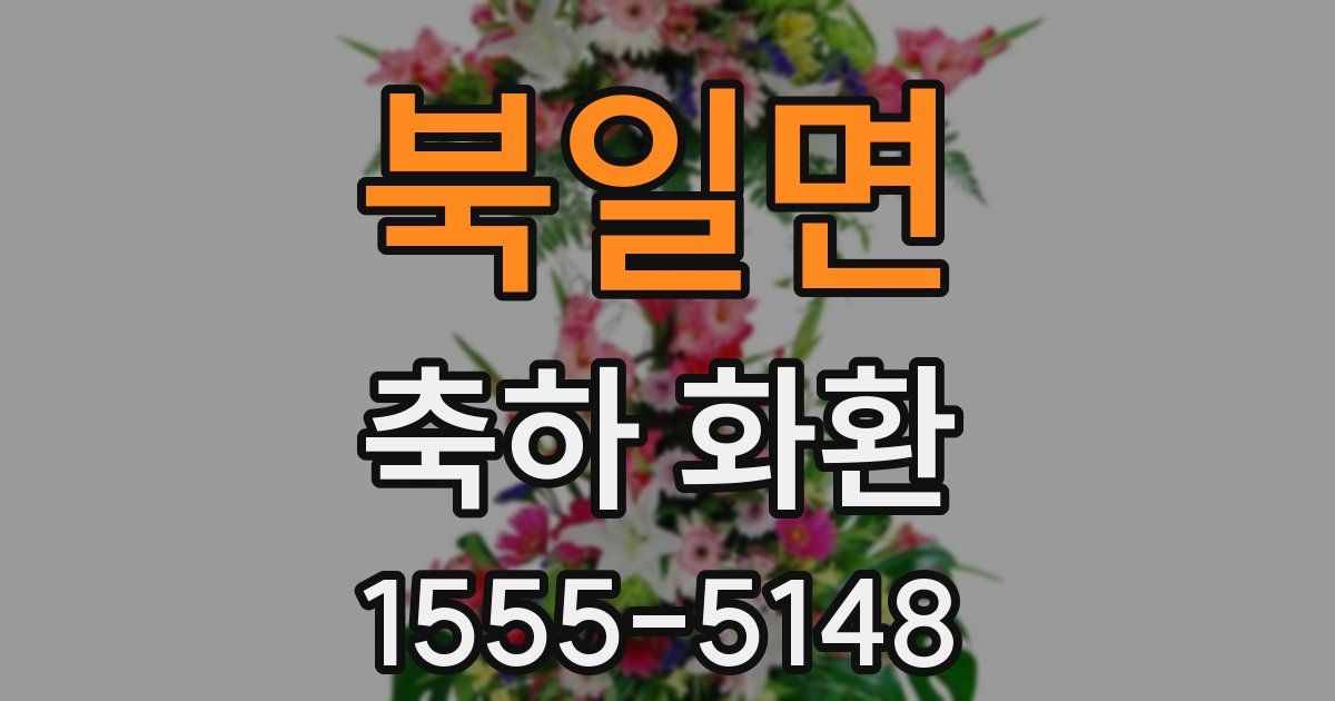 북일면 축하 화환