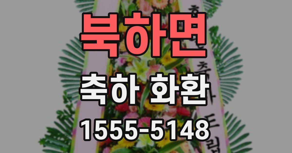북하면 축하 화환