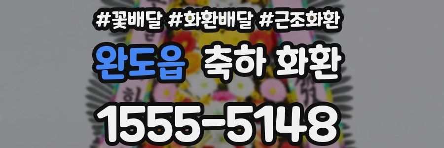 완도읍 축하 화환