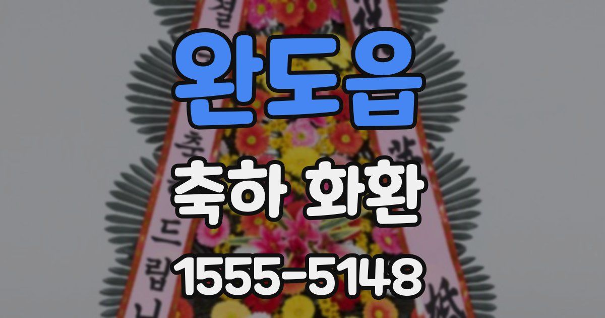 완도읍 축하 화환