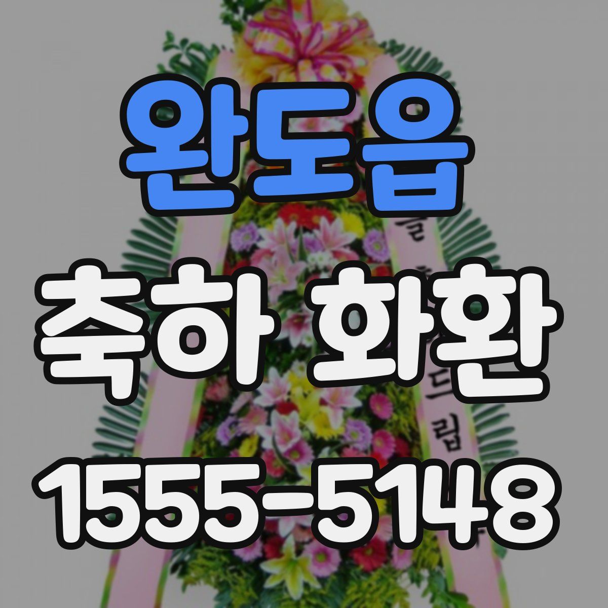 완도읍 축하 화환
