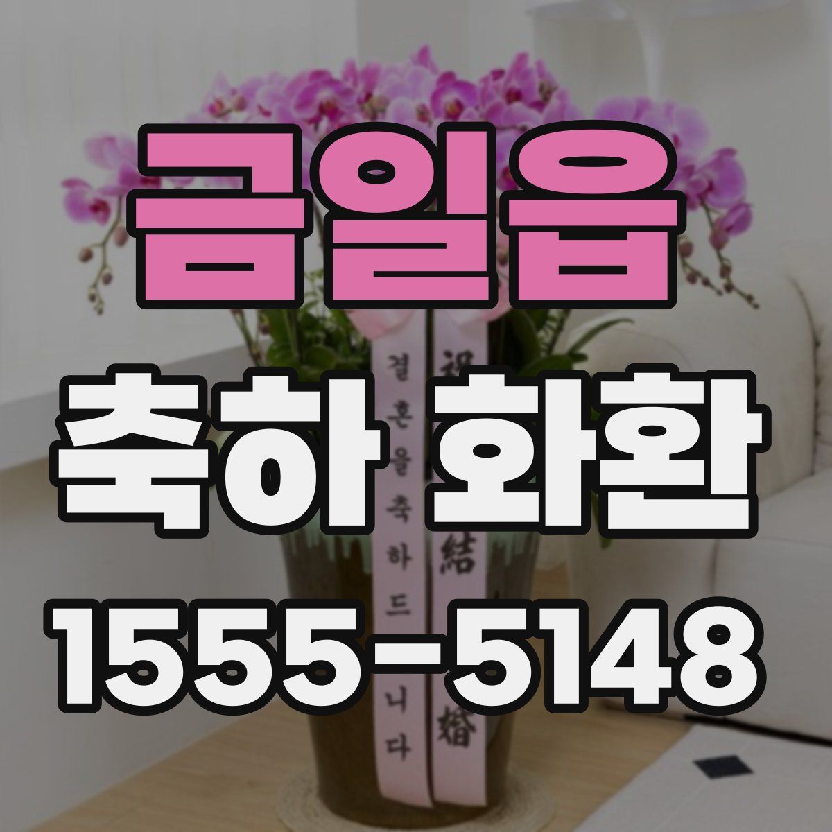 금일읍 축하 화환