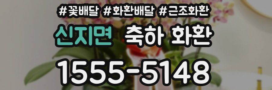 신지면 축하 화환