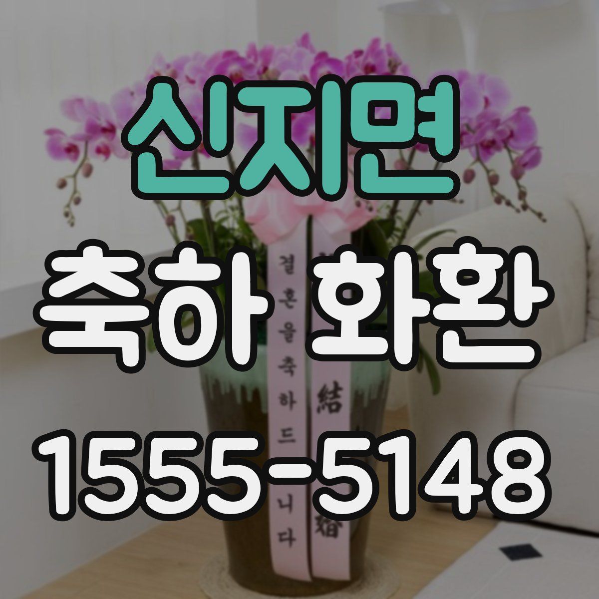 신지면 축하 화환