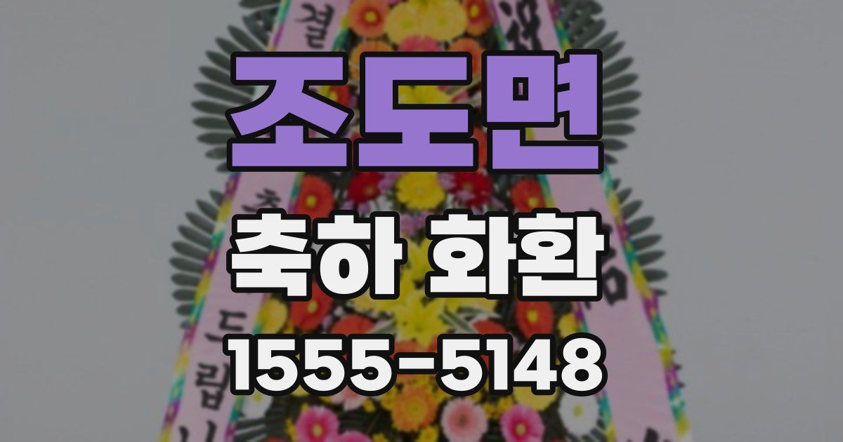 조도면 축하 화환