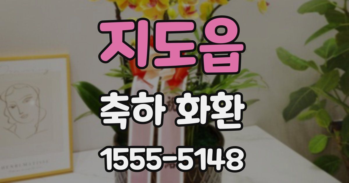 지도읍 축하 화환