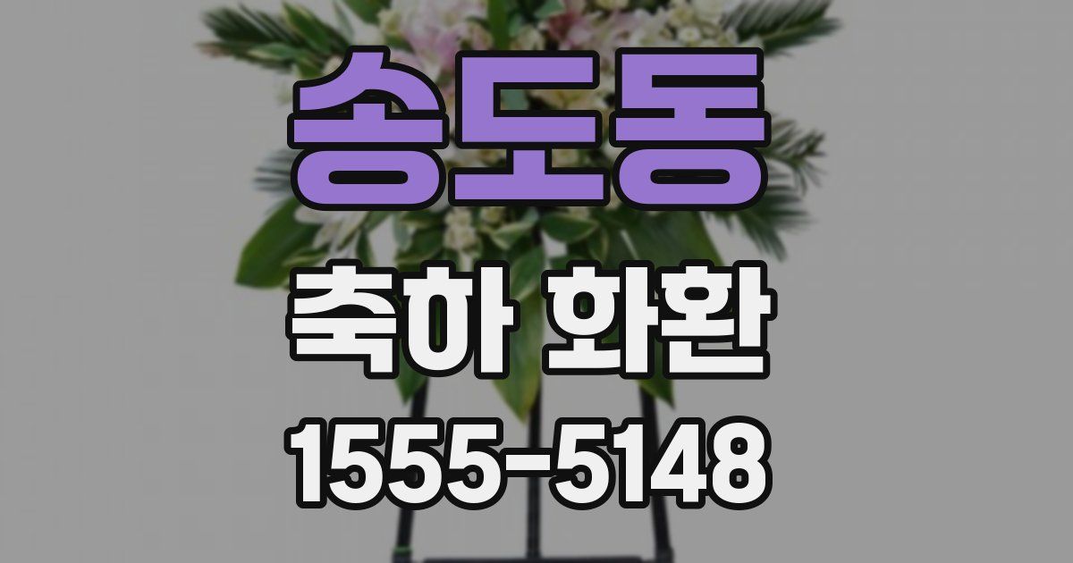 송도동 축하 화환