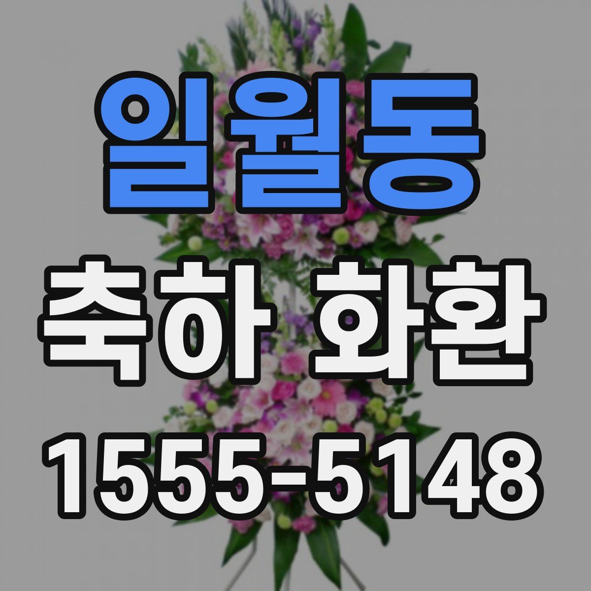 일월동 축하 화환