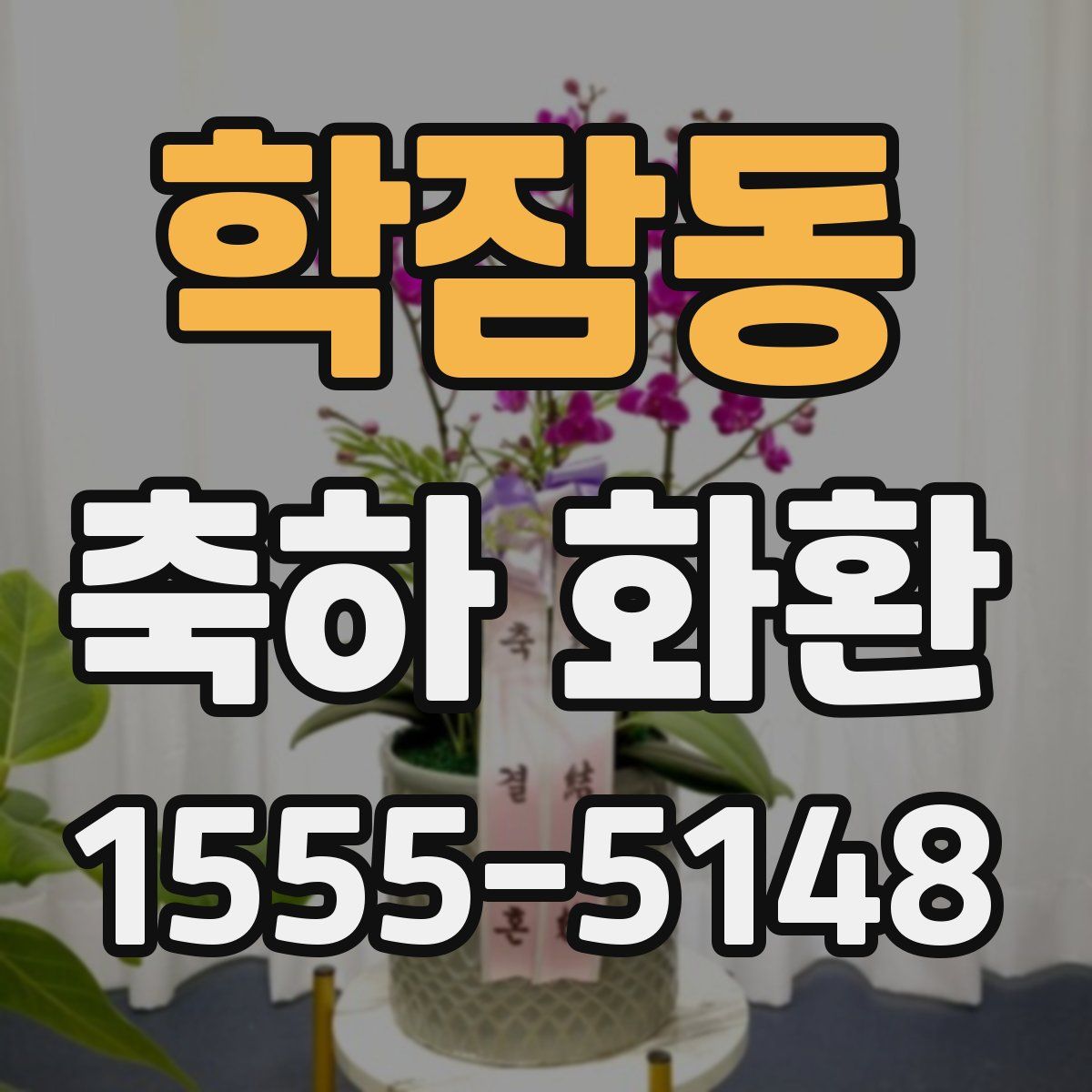 학잠동 축하 화환