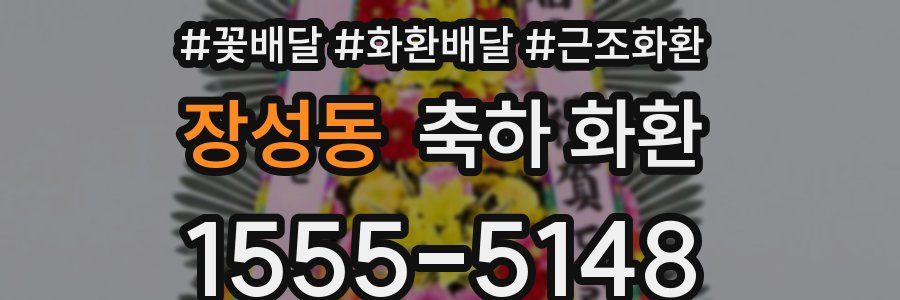 장성동 축하 화환