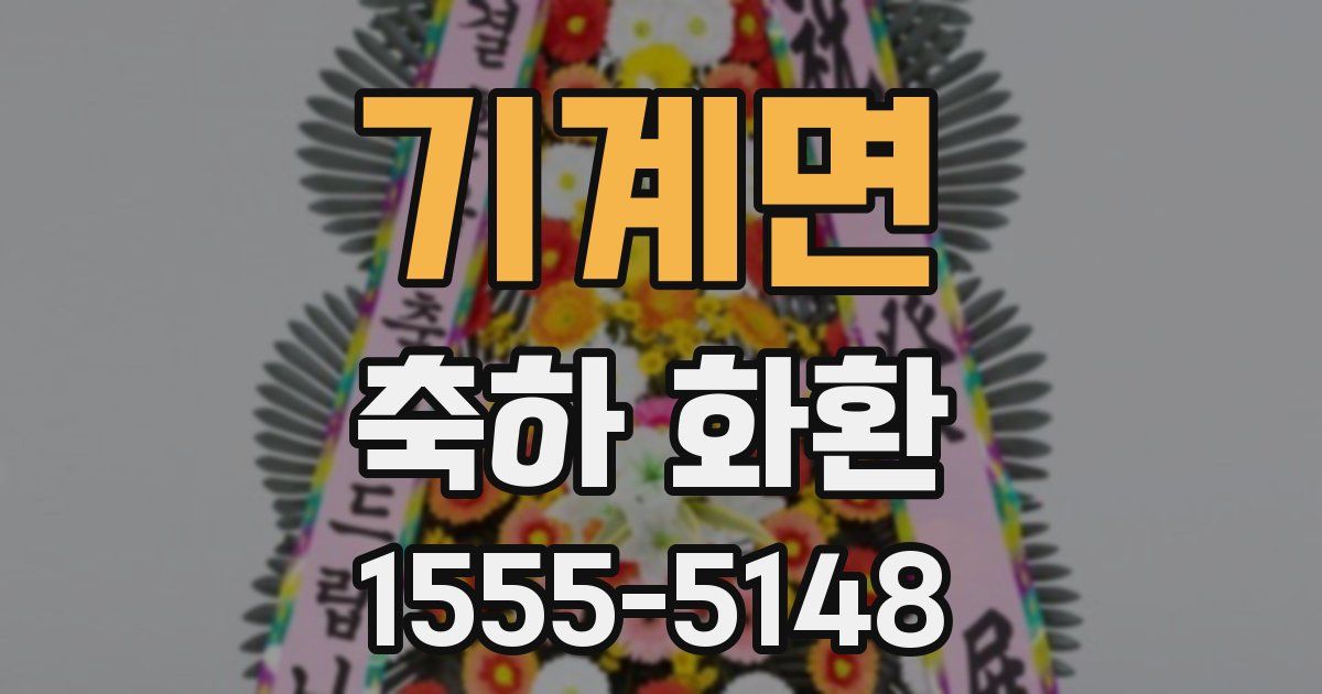 기계면 축하 화환