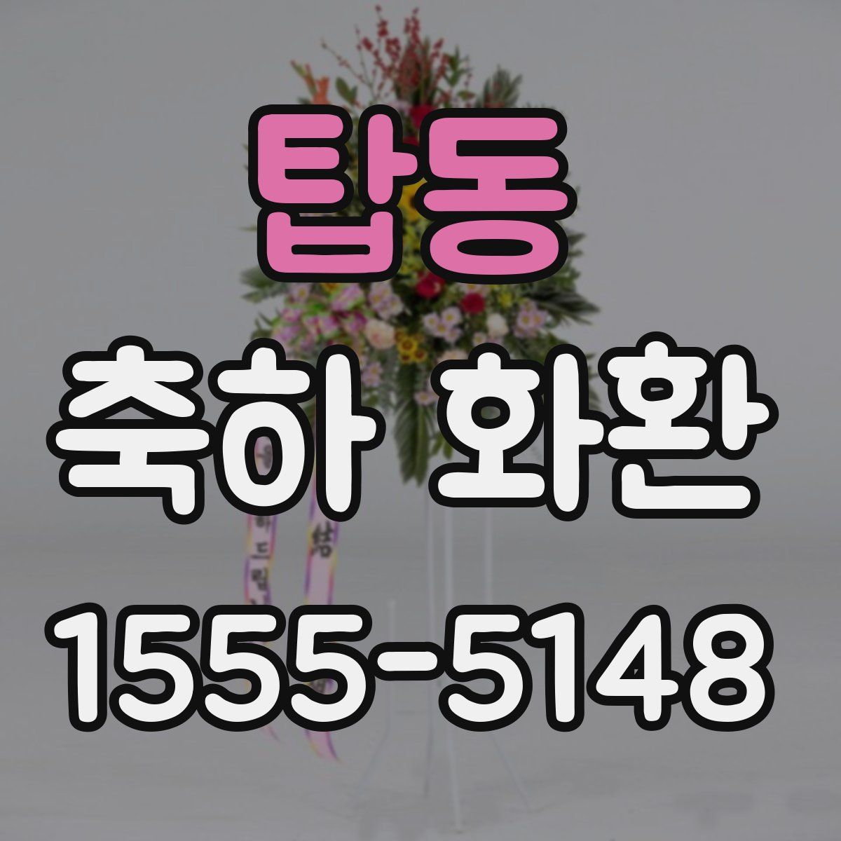 탑동 축하 화환