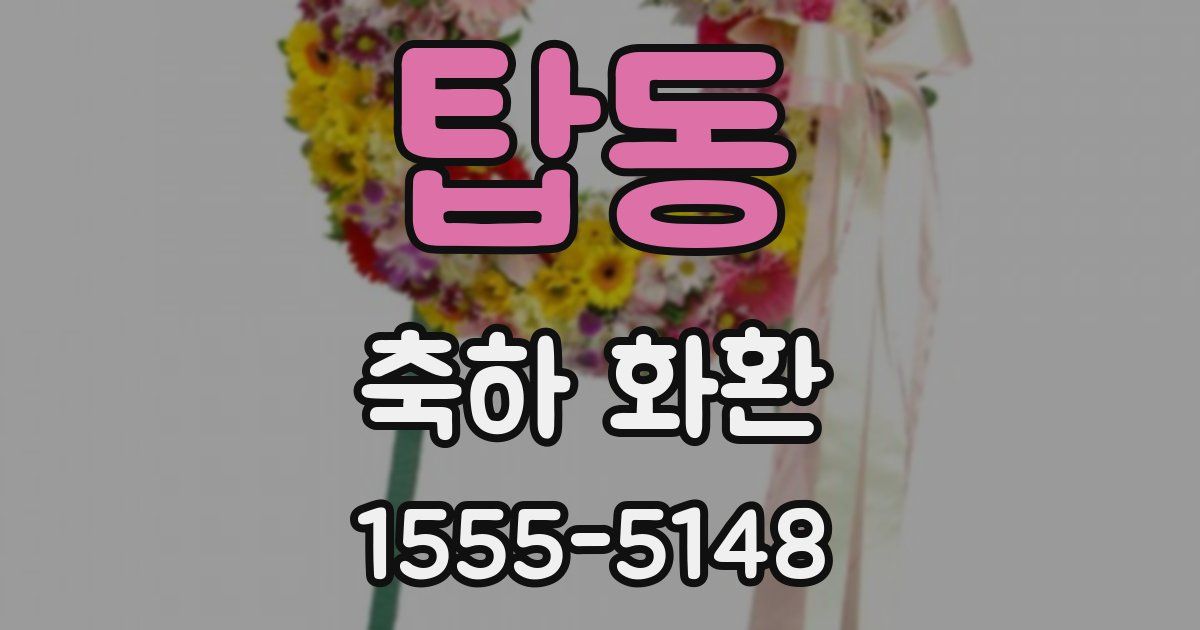 탑동 축하 화환