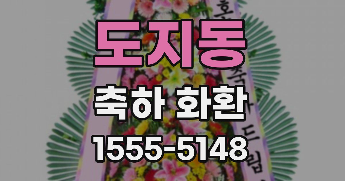 도지동 축하 화환