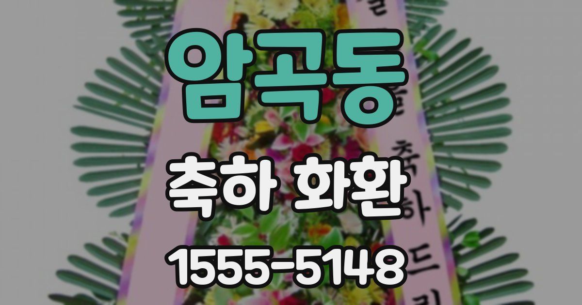 암곡동 축하 화환