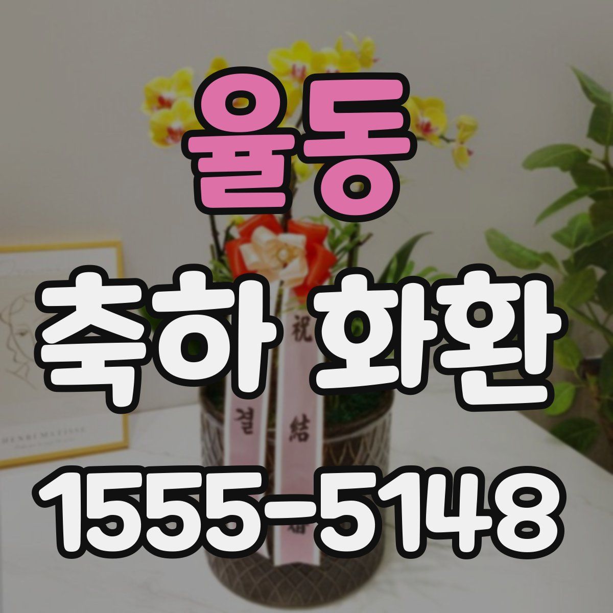 율동 축하 화환