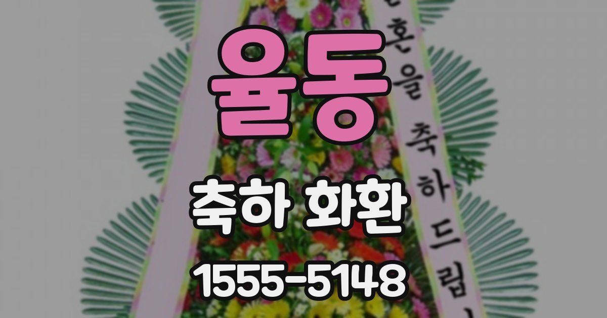 율동 축하 화환