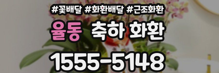 율동 축하 화환