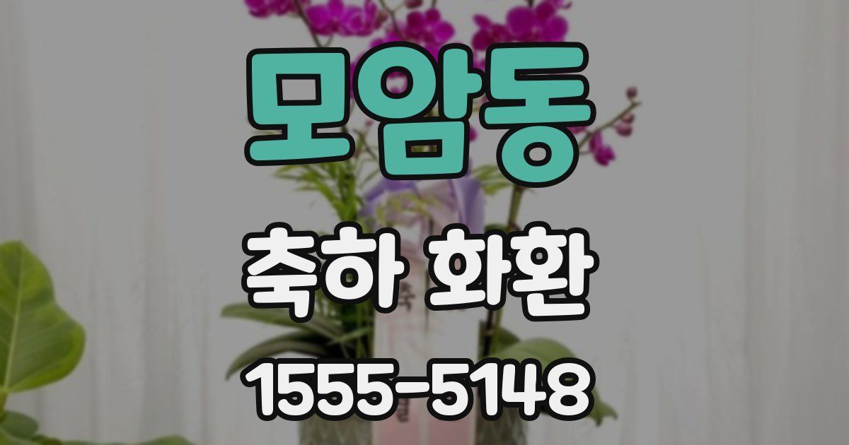 모암동 축하 화환