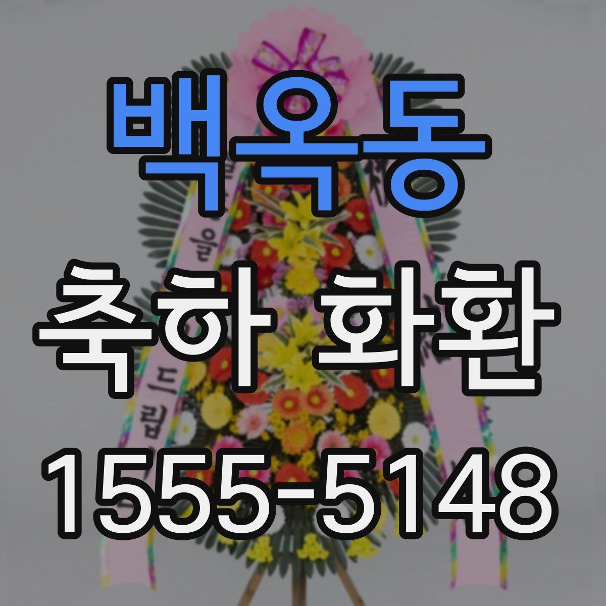 백옥동 축하 화환