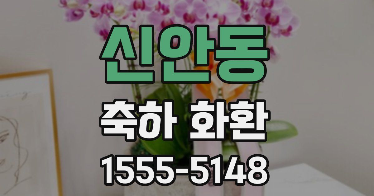 신안동 축하 화환