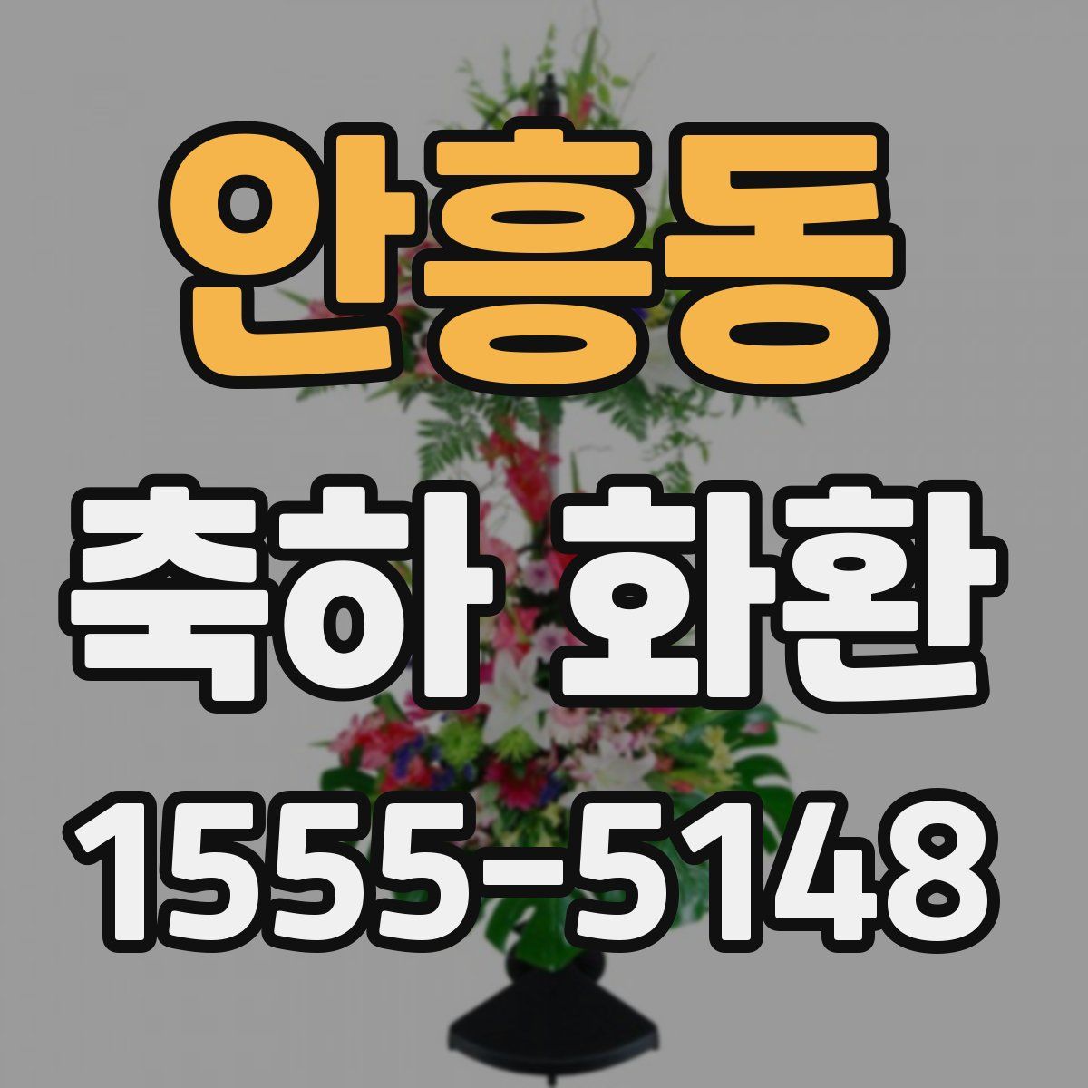 안흥동 축하 화환