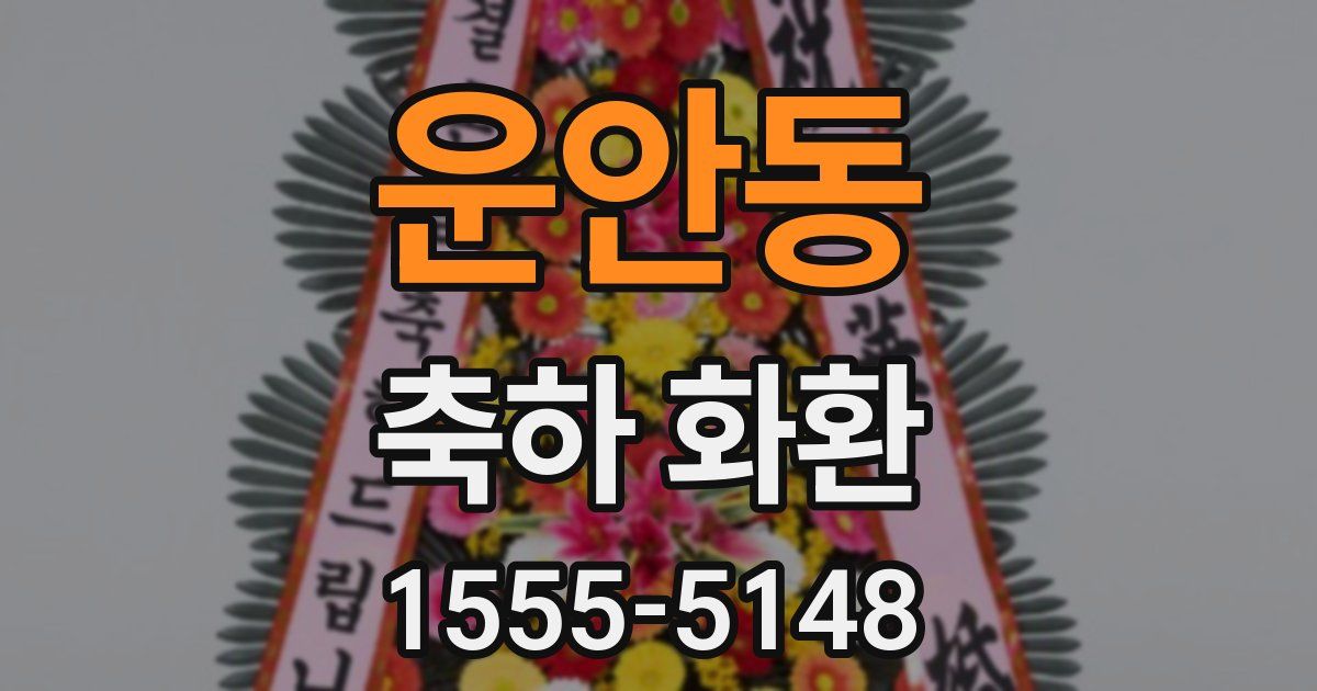 운안동 축하 화환